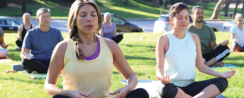 people meditating in a park