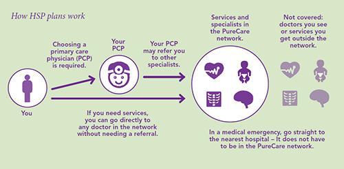 How HSP plans work