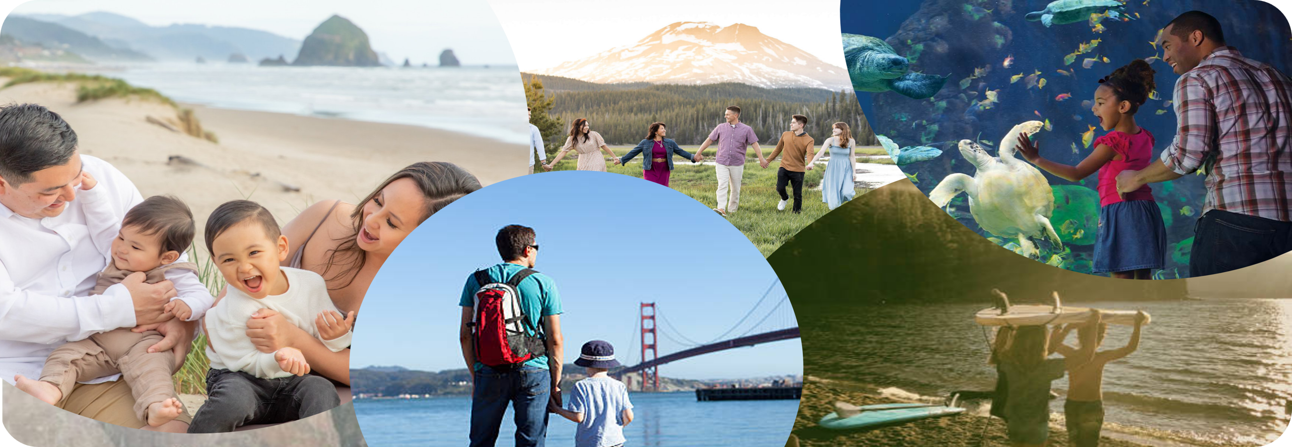 Wellness Webinar article